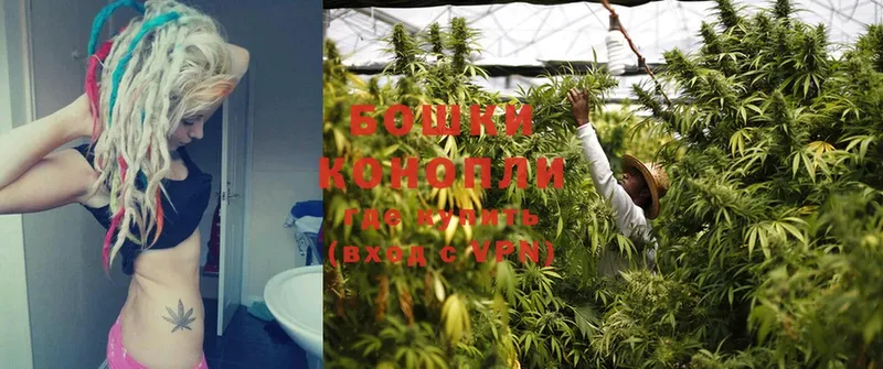 Конопля THC 21%  купить наркоту  Поронайск 